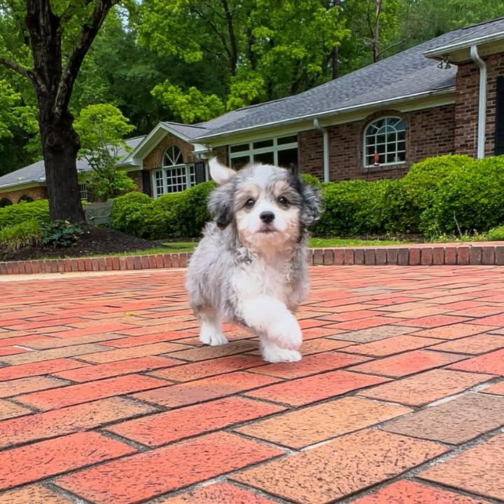 WhatsApp Image 2026-03-29 at 8.34.51 AM (2)