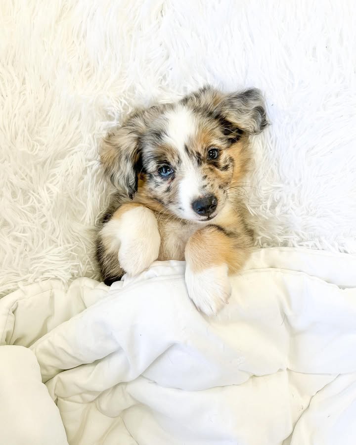 WhatsApp Image 2026-03-29 at 8.34.51 AM