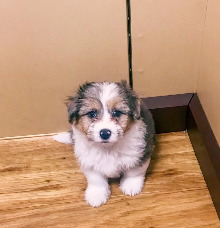 WhatsApp Image 2026-03-29 at 8.34.52 AM